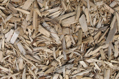 biomass boilers Lagganlia